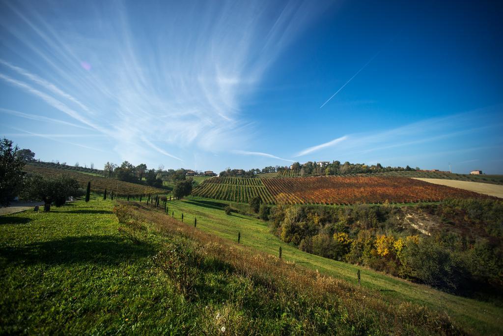 Marano sul Panaro Agriturismo Acetaia Sereni מראה חיצוני תמונה